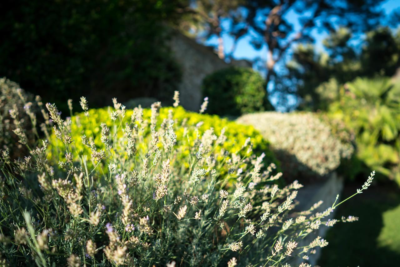 Domaine De Saint Clair Bed & Breakfast Aix-en-Provence Exterior photo